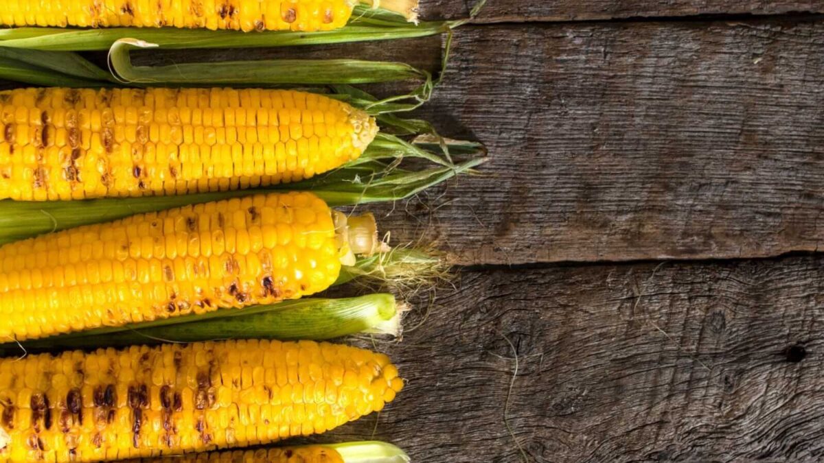 Corn Bulls Take a Breather on Thursday’s Pullback